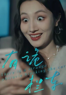 有诡拦车封面图