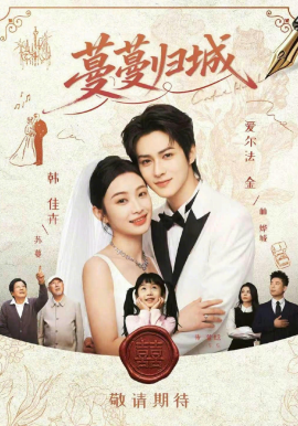 蔓蔓归城封面图