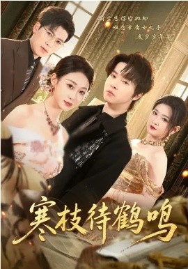 寒枝待鹤鸣封面图