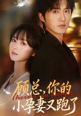顾总，你的小孕妻又跑了封面图