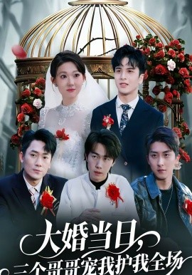 大婚当日，三个哥哥宠我护我全场封面图