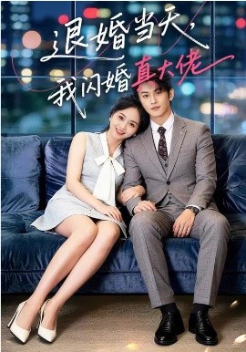 退婚当天，我闪婚真大佬封面图