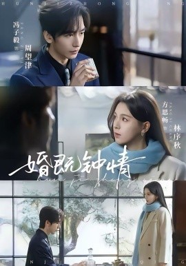 婚既钟情封面图