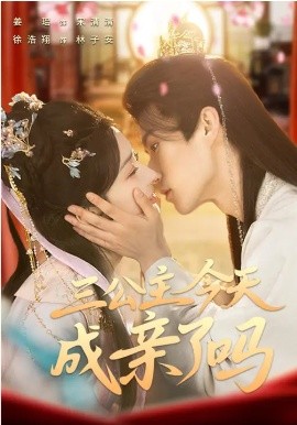 三公主今天成亲了吗封面图