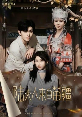 陆夫人来自苗疆封面图