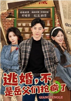 逃婚，不，是岳父们抢疯了封面图