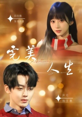 完美人生封面图