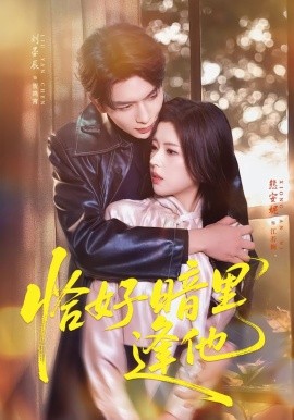 恰好暗里逢他封面图