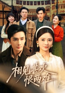 相见甚欢恨两难封面图