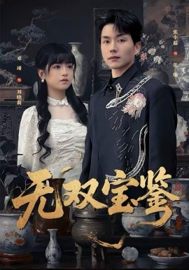 无双宝鉴封面图