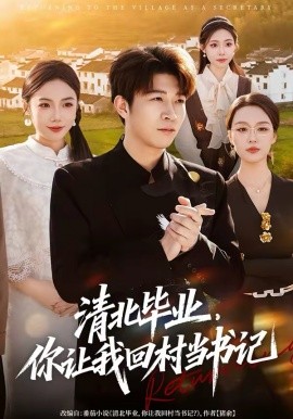 清北毕业，你让我回村当书记封面图
