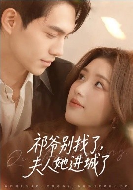 祁爷别找了，夫人她进城了封面图
