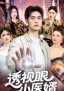 透视眼小医婿封面图