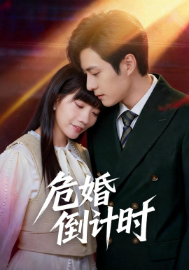 危婚倒计时封面图