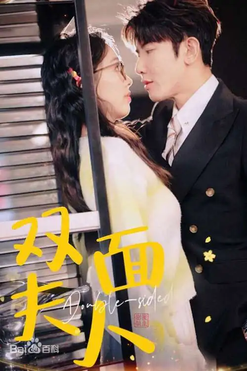 双面夫人封面图